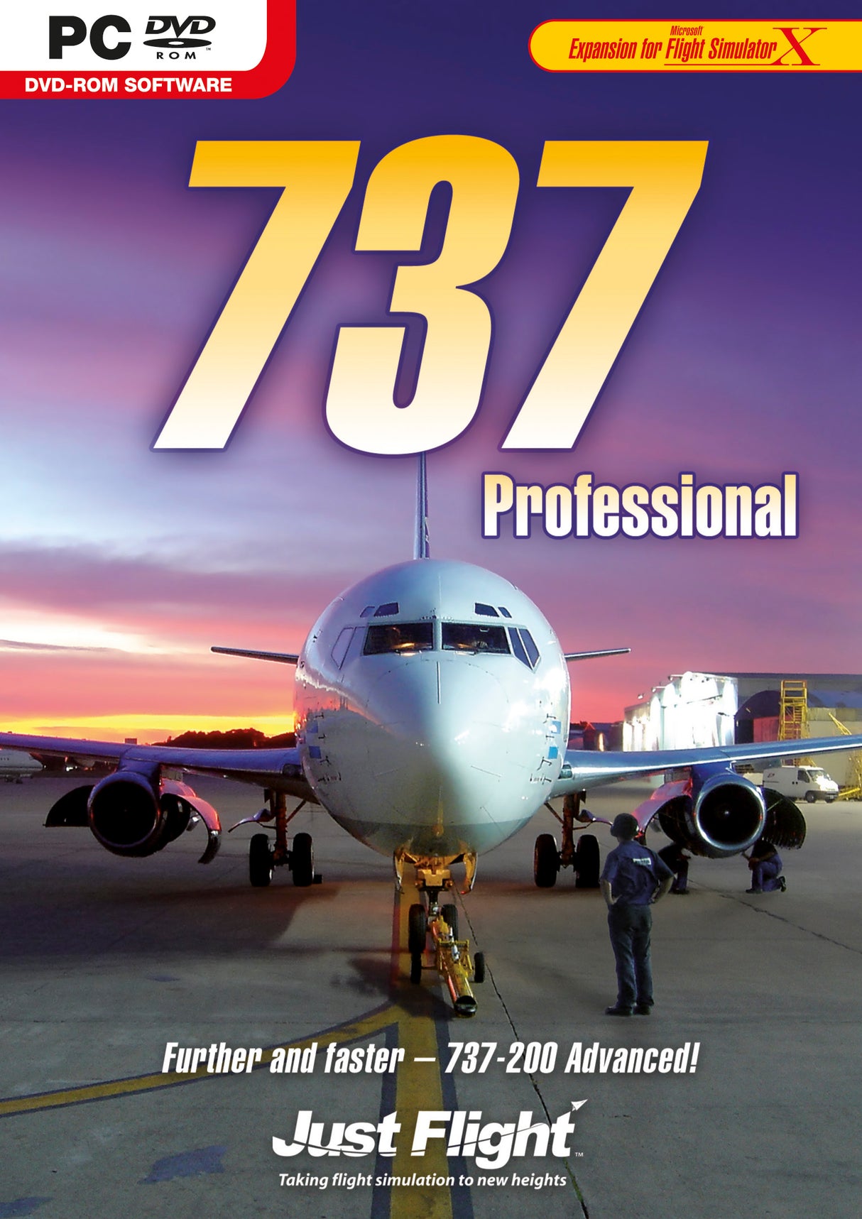 737 PROFESSIONAL   PC Video Game