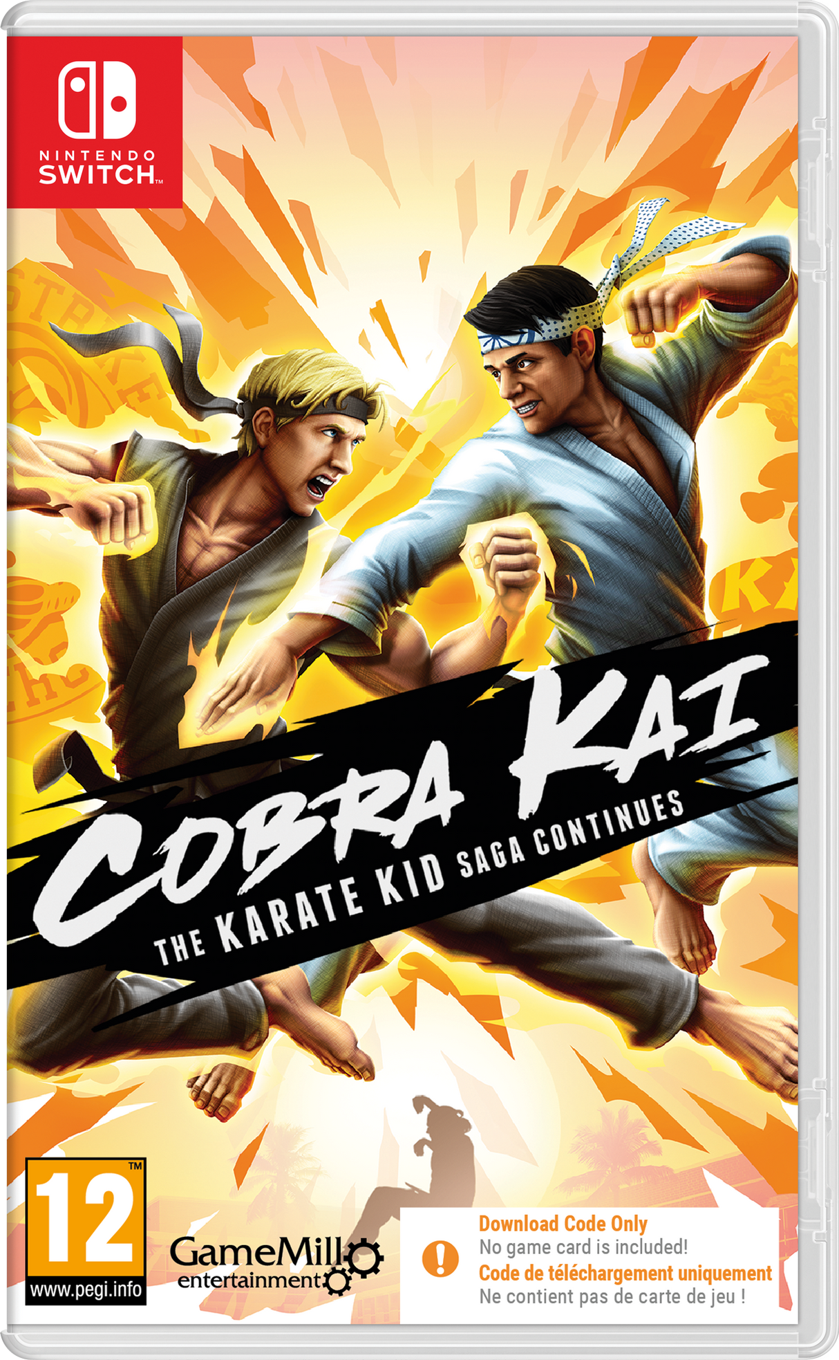 COBRA KAI SAGA CONTINUES CIAB  Nintendo Switch Video Game