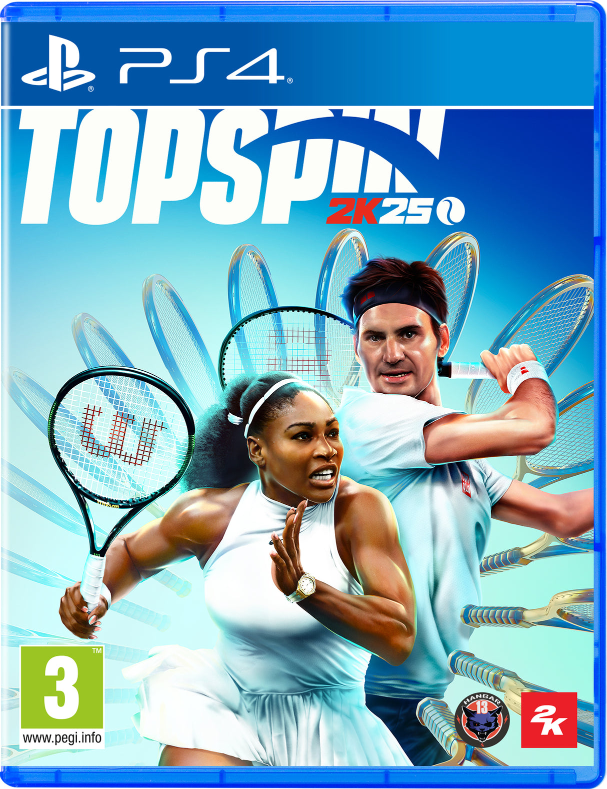 TOPSPIN 2K25   Playstation 4 Video Game