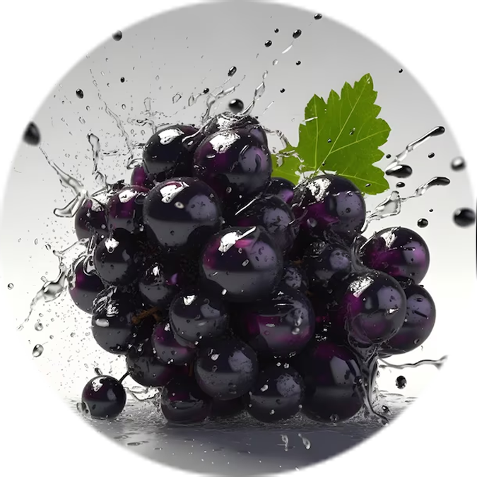 Blackcurrant