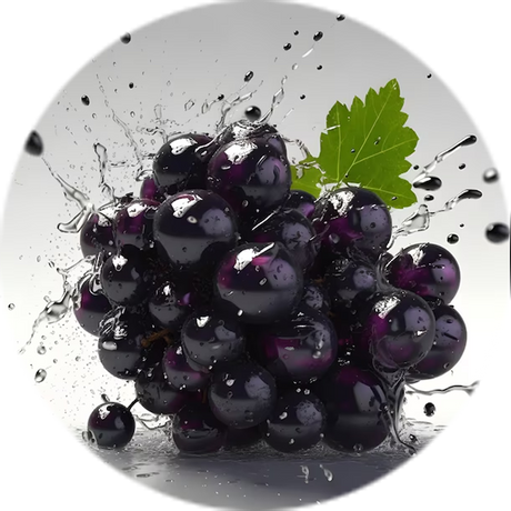 Blackcurrant