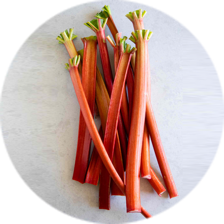 Rhubarb
