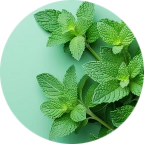 Spearmint
