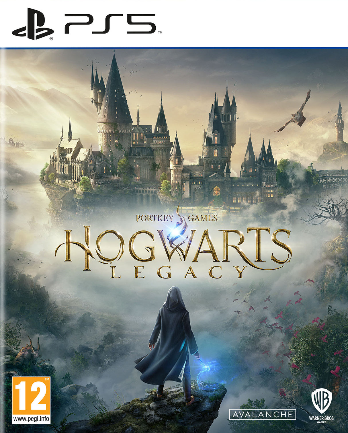 HOGWARTS LEGACY  Playstation 5 Video Game