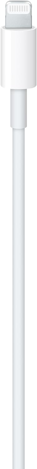 Apple USB-C to Lightning Cable (1m)