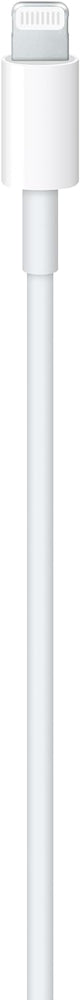 Apple USB-C to Lightning Cable (1m)