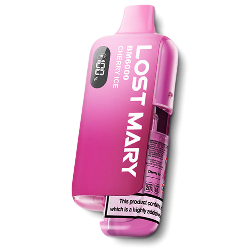BM6000 Disposable Vape Kit