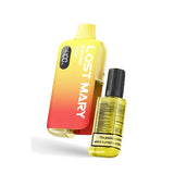BM6000 Disposable Vape Kit