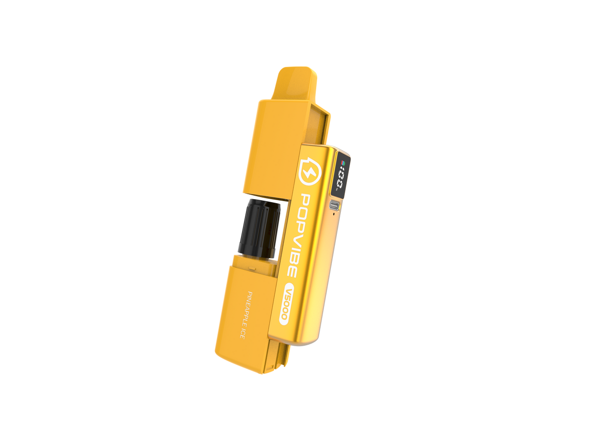 Popvibe V5000 20mg Rechargeable Vape Kit