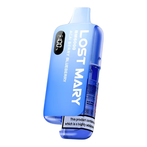 BM6000 Disposable Vape Kit