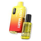 BM6000 Disposable Vape Kit